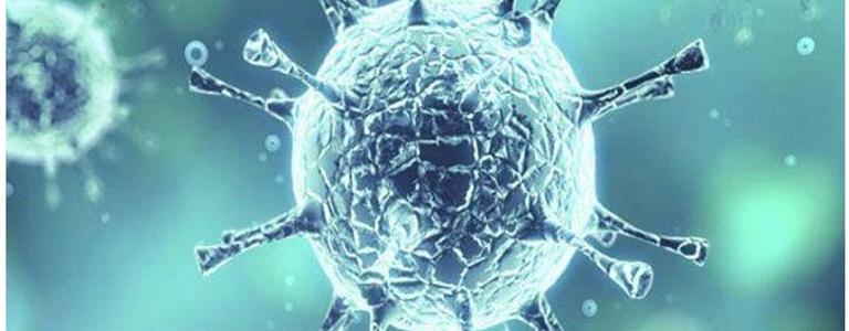 البوكس نيوز – انباء عن تراجع فيروس كورونا وتحجيمه بشكل كبير