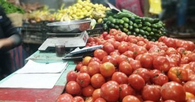 الطماطم من 2.5 لـ4 جنيهات والبصل بـ10.. تعرف على أسعار الخضروات بالأسواق – البوكس نيوز