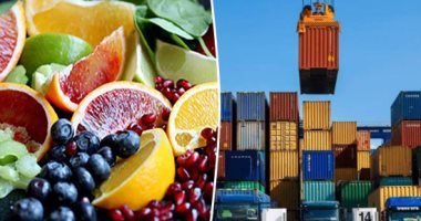 صادرات مصر من الفاكهة الطازجة ترتفع إلى 206 ملايين دولار فى شهر واحد – البوكس نيوز