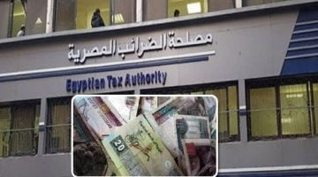 بالأرقام.. قائمة مسددي الضرائب في مصر.. قناة السويس تحقق أعلى نمو بنسبة 84% – البوكس نيوز