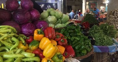 استقرار أسعار الخضروات في أسواق الجملة وكيلو الطماطم يسجل 2.5 جنيه – البوكس نيوز