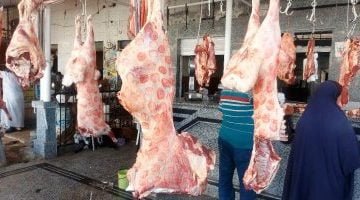 أسعار اللحوم فى الأسواق اليوم الخميس 4-5-2023 – البوكس نيوز
