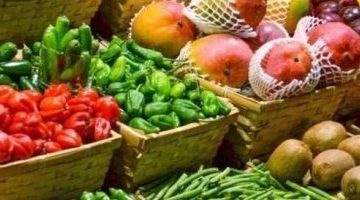 أسعار الخضروات فى أسواق الجملة اليوم الخميس – البوكس نيوز