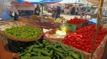 استقرار أسعار الخضراوات.. سعر كيلو الطماطم يتراوح ما بين 4 و5.5 جنيه – البوكس نيوز