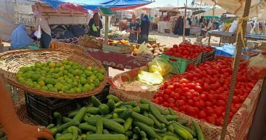 استقرار أسعار الخضراوات.. سعر كيلو الطماطم يتراوح بين 4 و5.5 جنيه – البوكس نيوز
