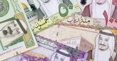 استقرار سعر الريال السعودي في مصر عند 8.22 جنيه – البوكس نيوز