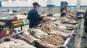 أسعار الأسماك فى الأسواق اليوم تسجل استقرارا ملحوظا والبلطى بـ73 جنيها – البوكس نيوز