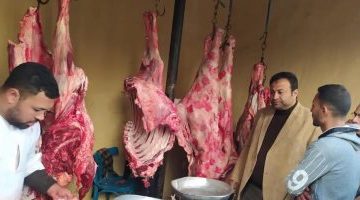 استقرار أسعار اللحوم فى الأسواق وسعر كيلو الضأن يسجل 230 جنيها – البوكس نيوز