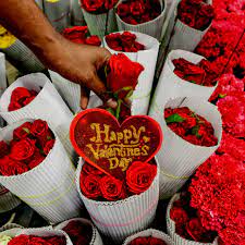 البوكس نيوز – أجمل رسائل عيد الحب في مصر 2023