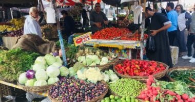 انخفاض أسعار البصل والطماطم في الأسواق واستقرار باقي الأصناف – البوكس نيوز