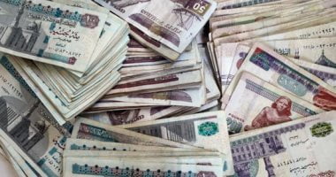 بالأرقام.. قائمة مسددى الضرائب فى مصر.. قناة السويس تحقق أعلى نمو بنسبة 92% – البوكس نيوز