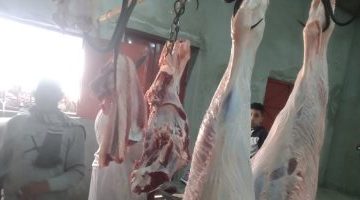 البوكس نيوز – أسعار اللحوم تستقر فى رابع أيام شهر رمضان.. المعروض يكفى الأسواق