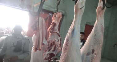 أسعار اللحوم فى مصر اليوم الإثنين 5 يونيو 2023 – البوكس نيوز