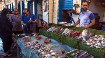 أسعار الأسماك اليوم الإثنين .. البلطى ما بين 73 و75 جنيها فى سوق الجملة – البوكس نيوز