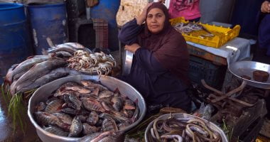 البوكس نيوز – أسعار الأسماك اليوم تسجل فى خامس أيام رمضان 68 جنيها للبلطى بسوق الجملة