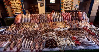 تعرف على أسعار الأسماك فى مصر اليوم البلطى يسجل 59 جنيها للكيلو – البوكس نيوز