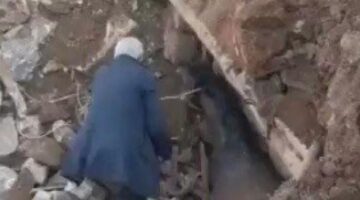 البوكس نيوز – إنقاذ حصان ظل 21 يومًا تحت الأنقاض في تركيا.. فيديو
