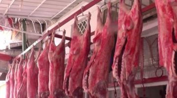 تعرف على أسعار اللحوم اليوم الإثنين فى الأسواق – البوكس نيوز