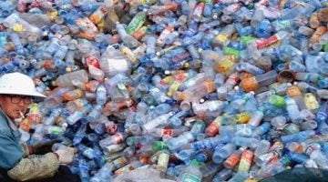 تكنولوجيا  – فطريات تساعد العلماء على مكافحة النفايات البلاستيكية.. التفاصيل