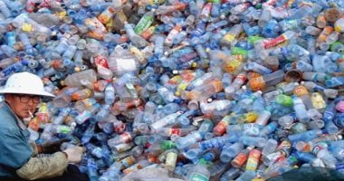 تكنولوجيا  – فطريات تساعد العلماء على مكافحة النفايات البلاستيكية.. التفاصيل