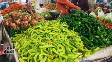 أسعار الخضروات اليوم فى مصر تواصل استقرارها – البوكس نيوز
