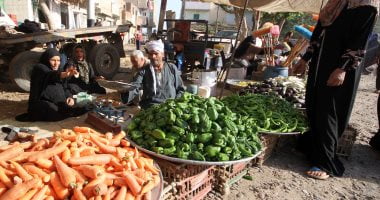 أسعار الخضراوات اليوم فى مصر تواصل استقرارها – البوكس نيوز