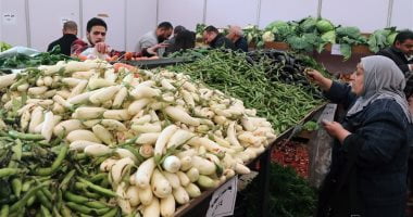 أسعار الخضراوات اليوم فى مصر تواصل استقرارها – البوكس نيوز