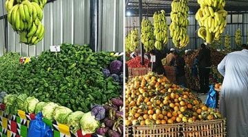 أسعار الفاكهة فى الأسواق اليوم السبت تواصل استقرارها – البوكس نيوز