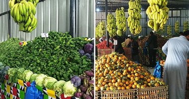 أسعار الفاكهة فى الأسواق اليوم السبت تواصل استقرارها – البوكس نيوز