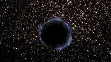 تكنولوجيا  – دراسة تشير إلى عودة ثقب أسود جديد ليضطرب فى المجرة