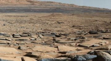تكنولوجيا  – كيف يرى إيلون ماسك المستقبل على المريخ والمستوطنات البشرية