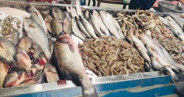 أسعار الأسماك اليوم الأحد 14-5-2023 – البوكس نيوز