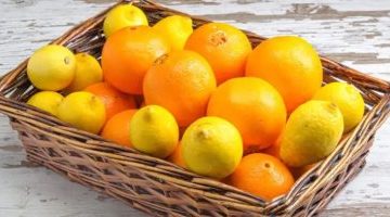 صادرات البرتقال المصري تسجل 98 مليون دولار فى إبريل الماضى – البوكس نيوز