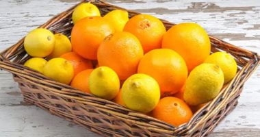 صادرات البرتقال المصري تسجل 98 مليون دولار فى إبريل الماضى – البوكس نيوز