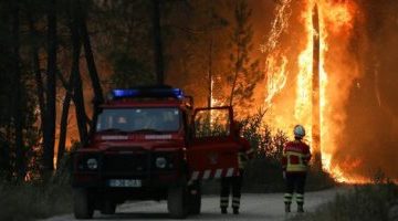 تكنولوجيا  – علماء روس يبتكرون طريقة لاكتشاف الحرائق قبل ظهور اللهب