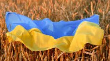 تركيا تعلن تمديد اتفاق البحر الأسود لتصدير الحبوب الأوكرانية لمدة شهرين – البوكس نيوز
