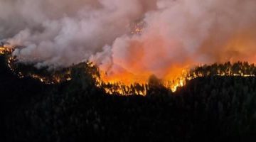 تكنولوجيا  – الحرائق تجتاح غابات كندا.. كيف وصلت لدول لم تصلها من قبل؟