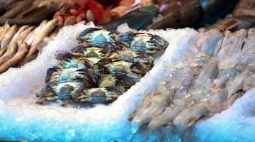 شعبة الأسماك تكشف استقرار أسعار البلطى عند 69 جنيها للكيلو – البوكس نيوز