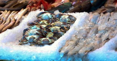 شعبة الأسماك تكشف استقرار أسعار البلطى عند 69 جنيها للكيلو – البوكس نيوز