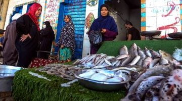 أسعار جميع أنواع الأسماك فى مصر اليوم الأحد – البوكس نيوز