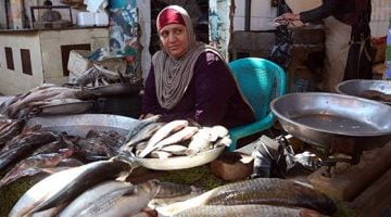 تعرف على أسعار الأسماك فى مصر اليوم .. البلطى بـ68 جنيها للكيلو – البوكس نيوز