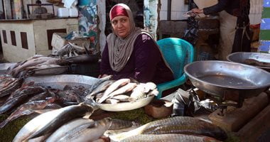 تعرف على أسعار الأسماك فى مصر اليوم .. البلطى بـ68 جنيها للكيلو – البوكس نيوز