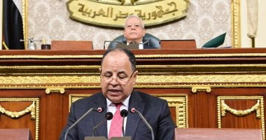 وزير المالية: 5 أيام فقط وتنتهى مبادرة «تيسير استيراد سيارات المصريين بالخارج» – البوكس نيوز