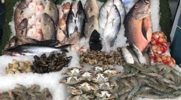 أسعار الأسماك اليوم الخميس 22 يوليو في مصر – البوكس نيوز