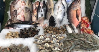 أسعار الأسماك فى مصر اليوم تسجل استقرار.. والبلطى بـ 68 جنيها – البوكس نيوز