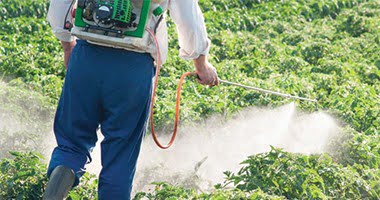 الجمارك توضح الضريبة المفروضة على المبيدات الحشرية للآفات الزراعية – البوكس نيوز