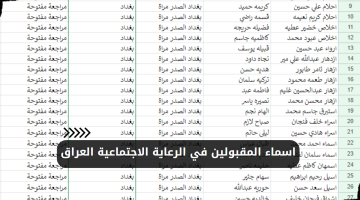 pdf اسماء المشمولين بالرعاية الاجتماعية الوجبة التاسعة 9 في العراق 2023 الدفعة الثانية منصة مظلتي – البوكس نيوز