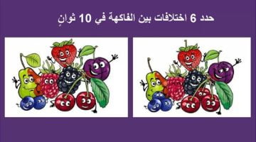 لغز اكتشف الفرق.. هل يمكنك تحديد 6 اختلافات بين الفاكهة في 10 ثوانٍ؟ – البوكس نيوز