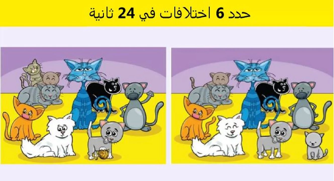اكتشف الفرق.. يمكن فقط لمن لديه رؤية 10/10 أن يكتشف 6 اختلافات في صورة القطط خلال 24 ثانية – البوكس نيوز