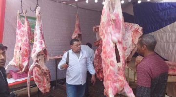 أسعار اللحوم وأضاحي العيد والماشية الحية اليوم في مصر – البوكس نيوز